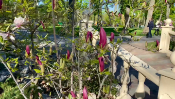 Суттєве зниження температури: синоптики дали прогноз погоди в Харкові на травень