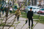 погода