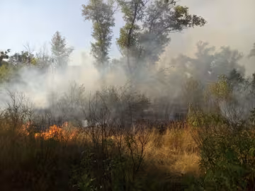 На Трухановому острові горить півтора гектара трави (фото)