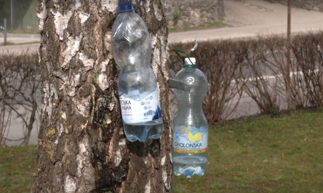 Жителям Киева напомнили, за какое нарушение накажут весной: придется заплатить немалый штраф