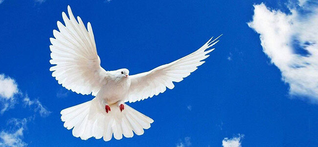 Индекс миролюбия: Украина улучшила позиции, оставив позади РФ