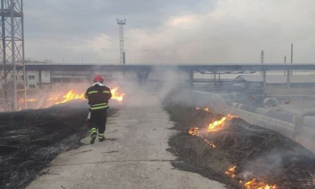 Пожар, Луганская область