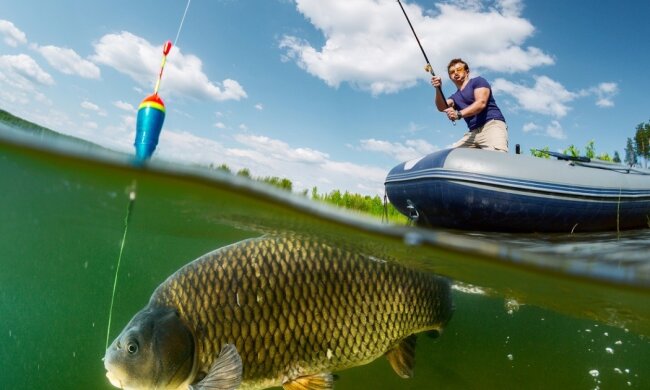 рыба, рыбак, рыбалка