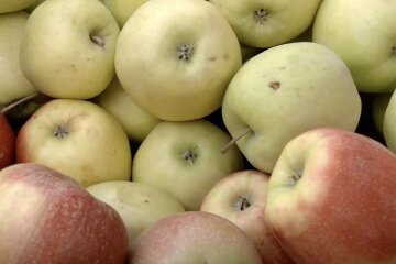 Дефіцит продуктів у Харкові