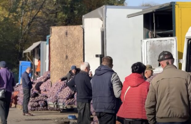 ����: politeka.net