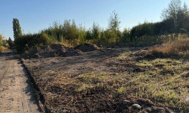 Довга боротьба екологів: у Житомирі нарешті прибрали стихійне звалище на вулиці Авіаторів