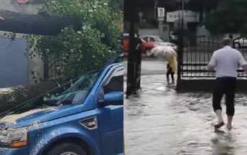 Ураган пронісся Україною, трощачи все на своєму шляху: де найбільше постраждали від стихії