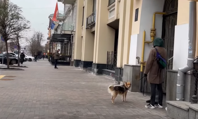 українці, зима, гороскоп, знаки зодіаку