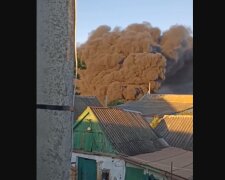 Взрывы гремят в оккупированном Бердянске, город заволокло дымом: кадры ЧП ко Дню россии