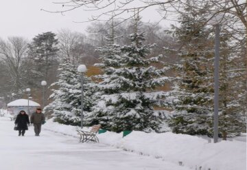 Прогноз погоди на тиждень з 22 по 28 грудня у Києві