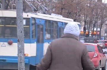 транспорт, автобус