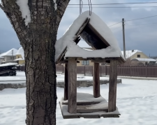 Прогноз погоды на февраль в Запорожье.