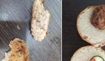 "Ось вам і безкоштовне харчування": українських школярів нагодували котлетами з хробаками, кадри