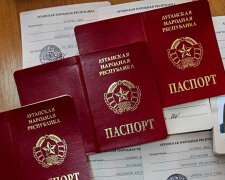 паспорта ЛНР