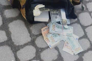 Знайшов 85 млн та ювелірку під кущами