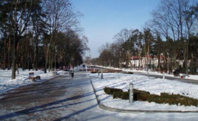 Вандалы уничтожили красоту популярного место отдыха киевлян:  фото последствий