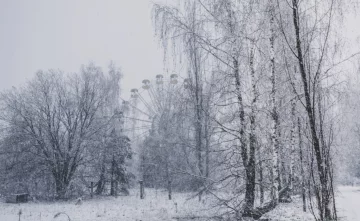 Рідкісні тварини знайшли притулок у Чорнобилі, яскраві фото: "Які ж вони красиві"