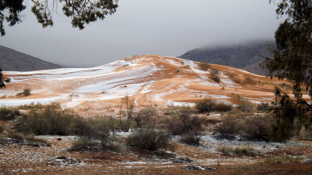 Фото: Karim Bouchetata/Geoff Robinson Photography