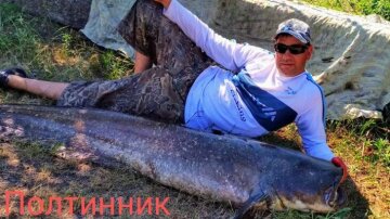 Украинский рыбак выловил настоящего монстра, фото: "трофей человеческого роста"