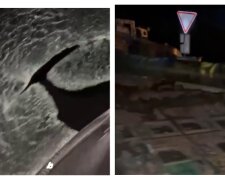 В Одесі водій в'їхав у дуло танка через відсутність освітлення на вулиці: відео
