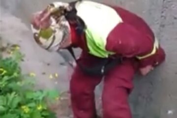 Неадекватна комунальниця напаскудила киянам після зауваження: "Щоб не гавкали"