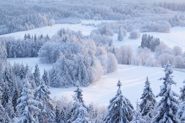 зима мороз снег