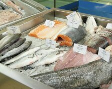 Дефіцит риби в Дніпропетровській області