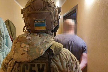 сбу, предатель, коллаборант, задержание