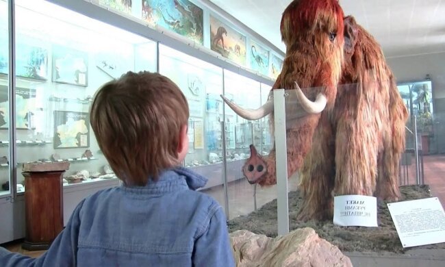 музей, мамонт