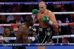 Реванш Фьюри - Уайлдер: видео решающего момента боя, американец не сдержался