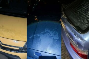 Облили кислотою, злили пальне і не тільки: десятки автовласників стали жертвами нападу у різних районах Дніпра