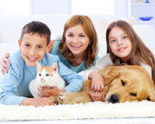 Family enjoyment of mothers with children and pets.