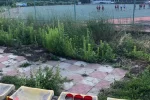 "Словно в трущобах": в сети показали, во что превратился стадион в Харькове, фото