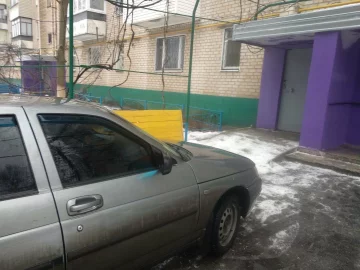 автохамы