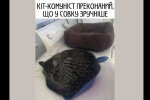Без имени-1