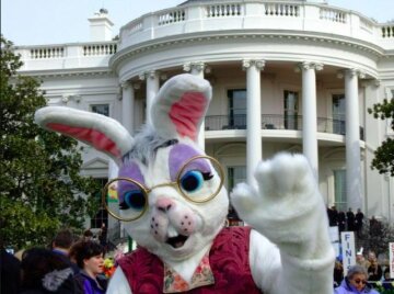 Заместитель Трампа принес кролика в Белый дом (фото)