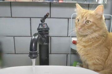 График отключения воды в мае 2025 года в Чернигове.
