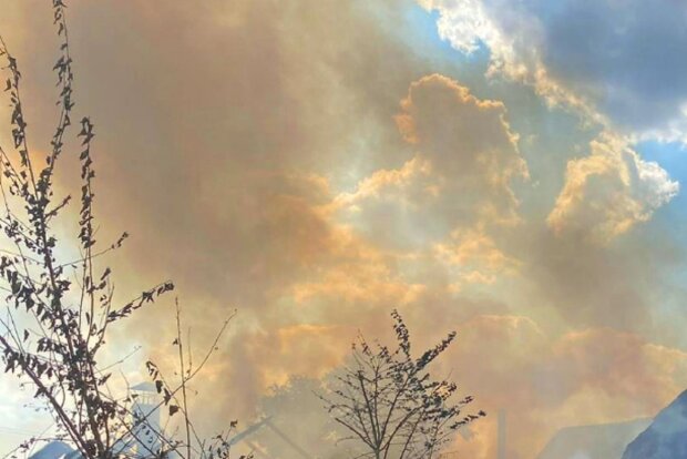 ����: politeka.net