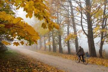 осень