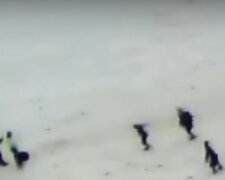 Девочка провалилась под лед в Киеве, появилось видео: "оказалась в воде"