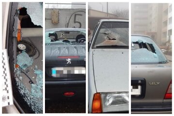 "Люди вы где?": женщина "под веществами" разбила кирпичами автомобили под Одессой, кадры безумия