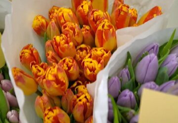 Подорожание цветов в Киеве, 8 марта