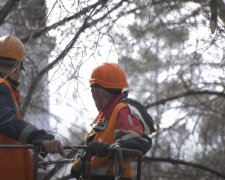Графіки відключення електроенергії у червні в Запоріжжі