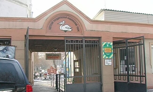 Одесский зоопарк пополнился новыми малышами: имена могут дать все желающие