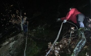 Турист зірвався із 10-метрової скелі на Закарпатті, але сталося диво: кадри з місця