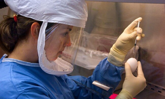 Вакцина от гриппа