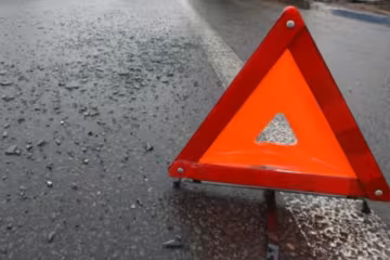 Винуватцем київського ДТП стала білка (фото)