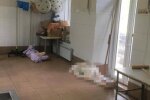 "Валяються тіла і повна антисанітарія": що діється в харківському морзі, моторошні кадри