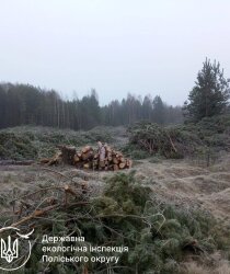 Держекоінспекція