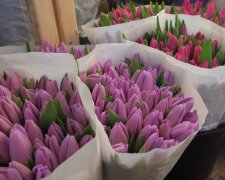 Подорожание цветов в Харькове: сколько придется отдать денег за праздничный букет до 8 марта